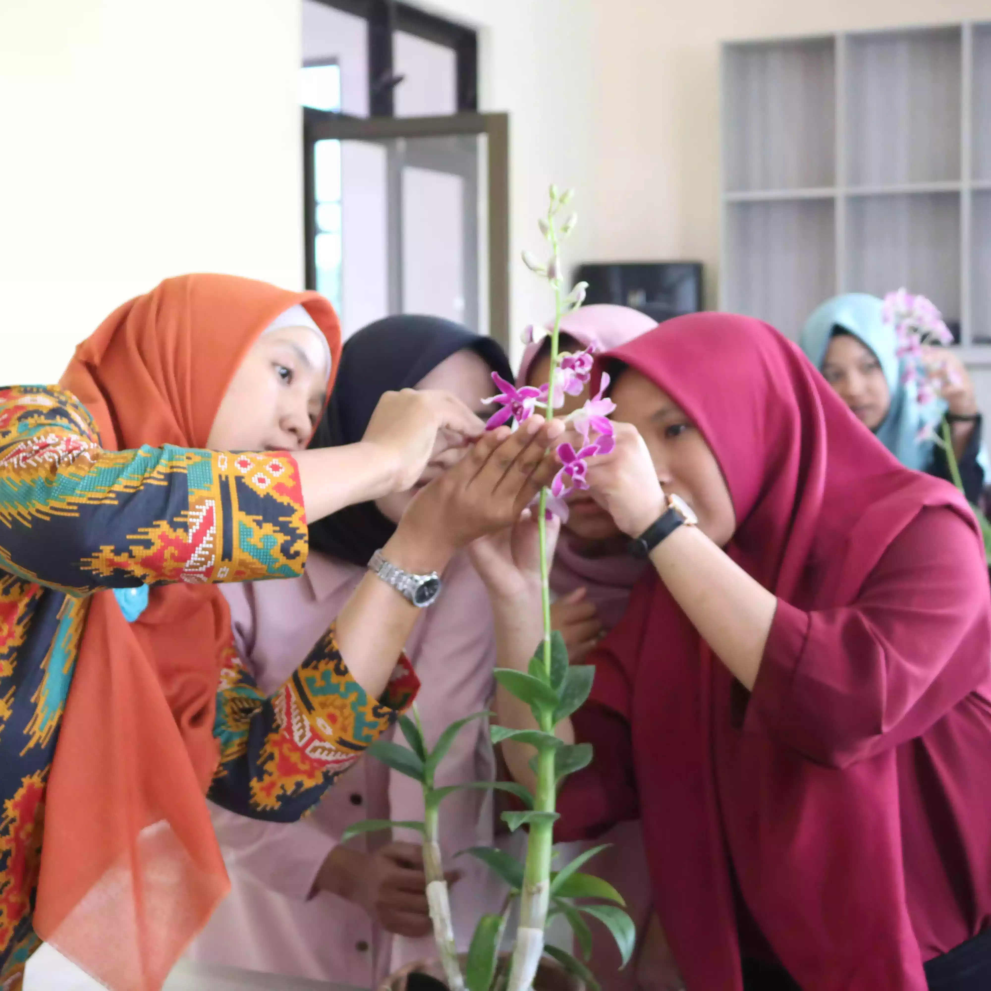 Pelatihan Kewirausahaan (Budidaya Anggrek)