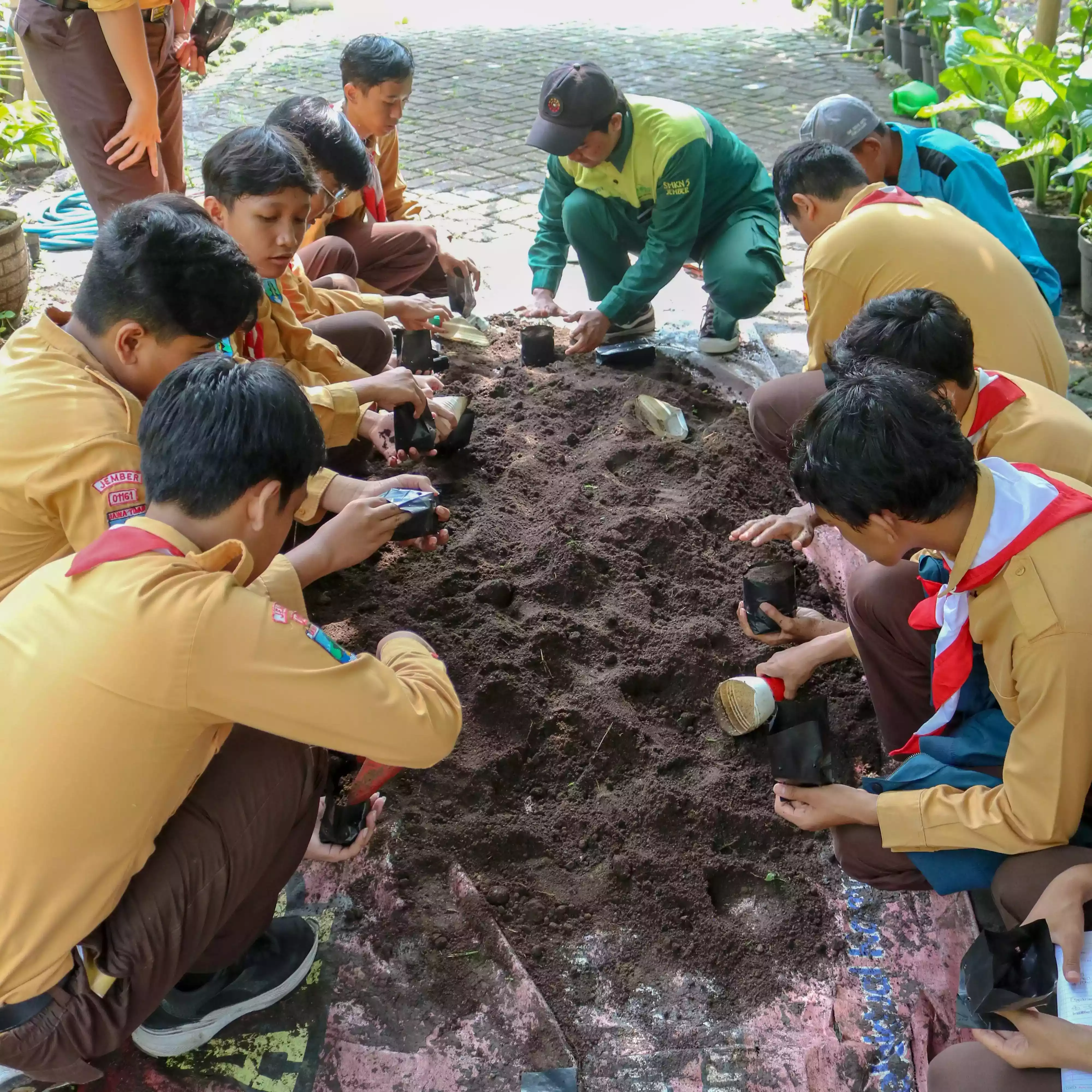 Paket Wisata Edukasi (Budidaya dan Perbanyakan Tanaman Hias)