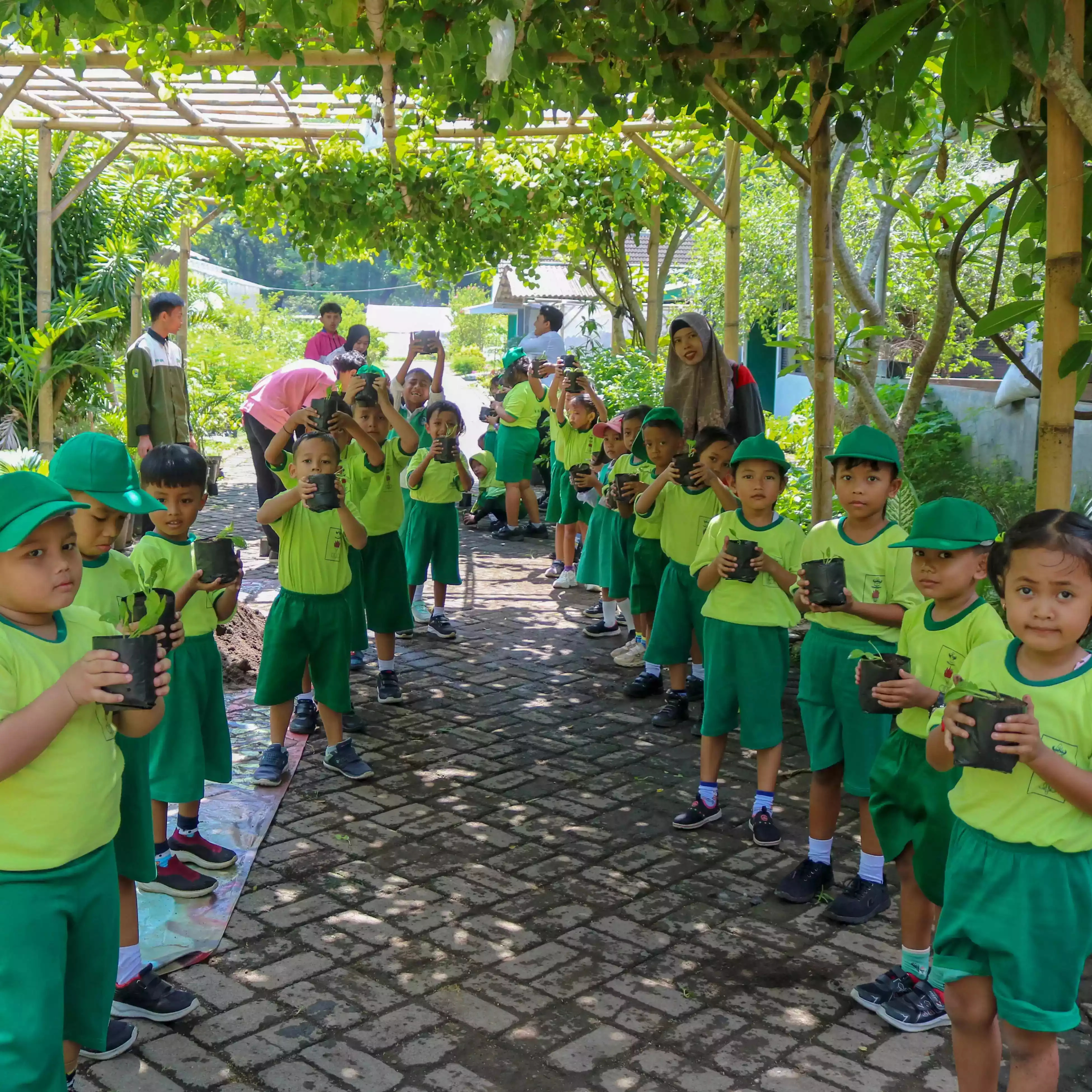 Paket Wisata Edukasi (Budidaya Tanaman Sayuran Organik)