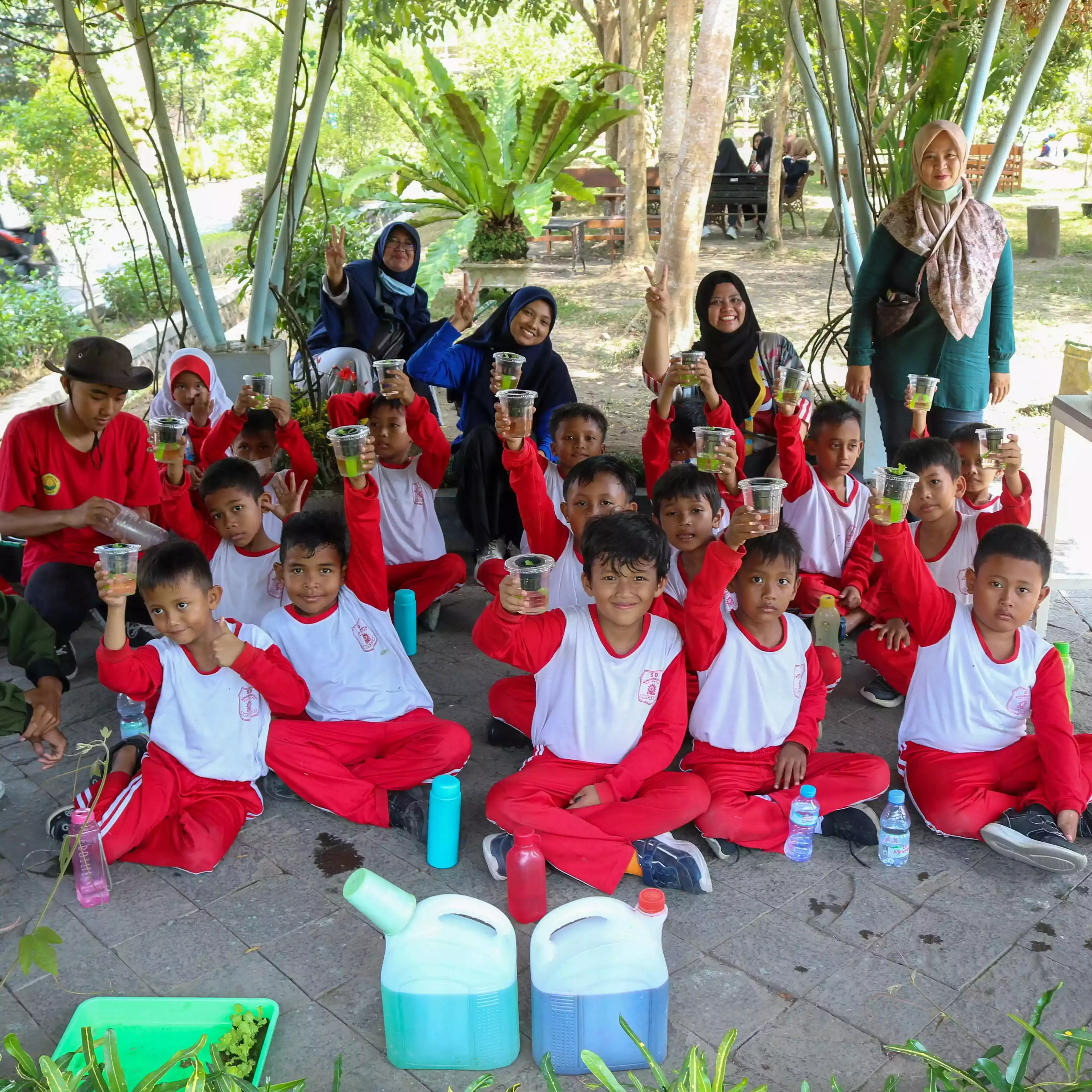 Paket Wisata Edukasi (Budidaya Tanaman Sayuran Hidroponik)