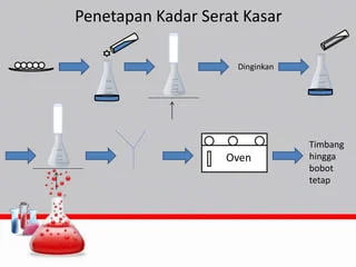 Layanan analisa serat kasar